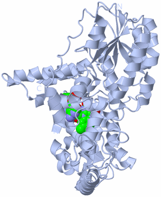 Image Biological Unit 1