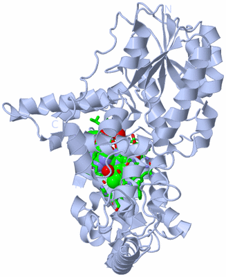 Image Biol. Unit 1 - sites