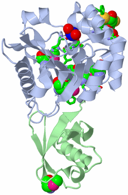 Image Biol. Unit 1 - sites