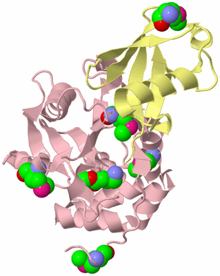 Image Biological Unit 2