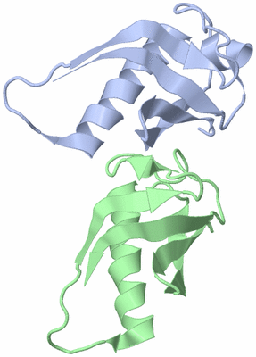 Image Asymmetric Unit