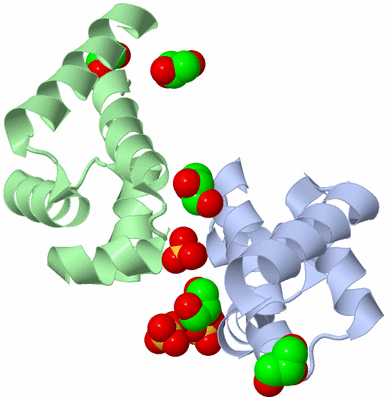 Image Biological Unit 3