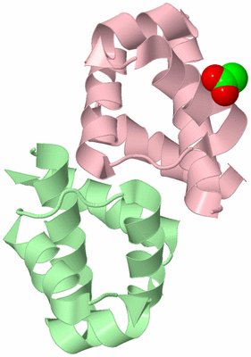 Image Biological Unit 2