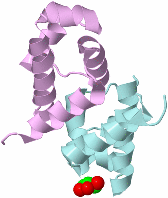 Image Biological Unit 3