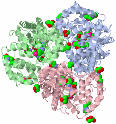 Image Asym./Biol. Unit