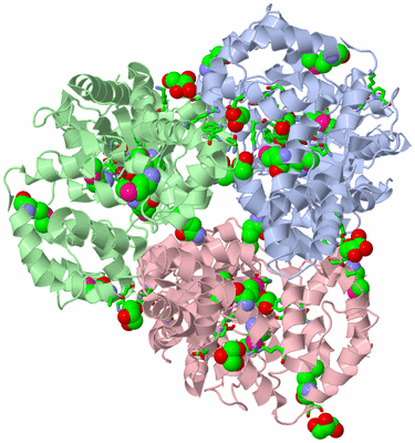 Image Asym./Biol. Unit - sites