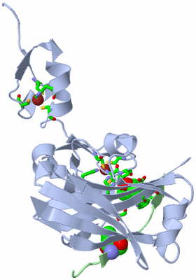 Image Biol. Unit 1 - sites