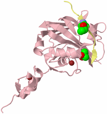 Image Biological Unit 2