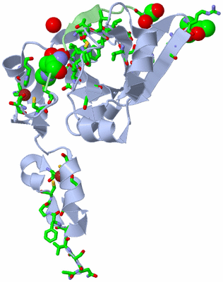 Image Biol. Unit 1 - sites