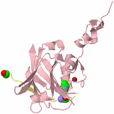 Image Biological Unit 2