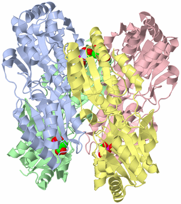 Image Asym./Biol. Unit