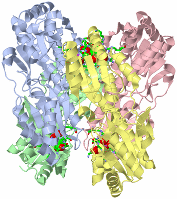 Image Asym./Biol. Unit - sites