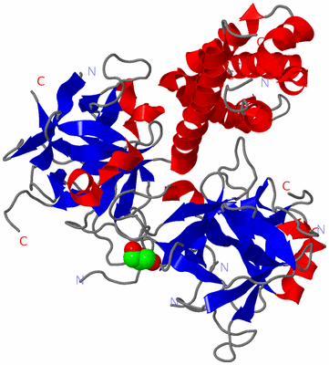 Image Asym./Biol. Unit