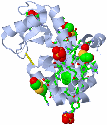 Image Biol. Unit 1 - sites