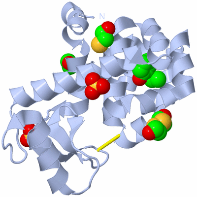 Image Biological Unit 1