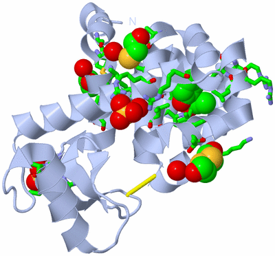 Image Biol. Unit 1 - sites