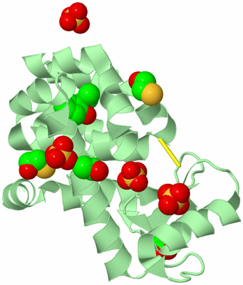 Image Biological Unit 2