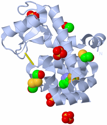 Image Biological Unit 1