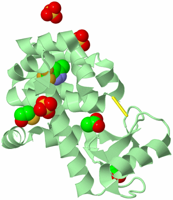 Image Biological Unit 2