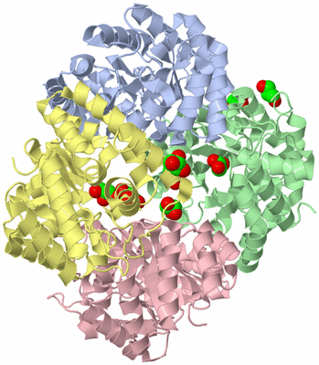 Image Asym./Biol. Unit