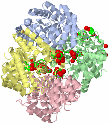 Image Asym./Biol. Unit - sites