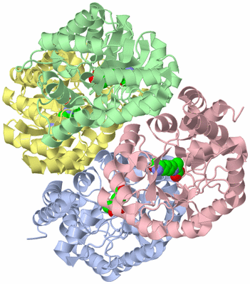 Image Asym./Biol. Unit