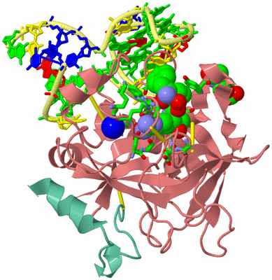 Image Asym./Biol. Unit - sites