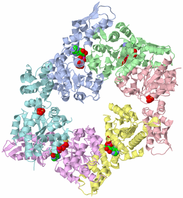 Image Asym./Biol. Unit