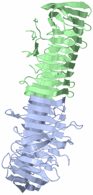 Image Asymmetric Unit