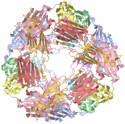 Image Biological Unit 1