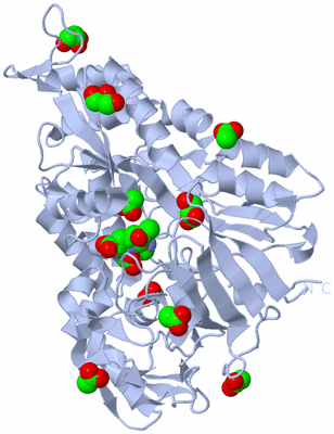 Image Biological Unit 1