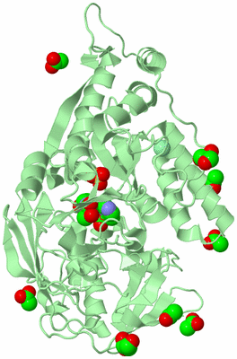 Image Biological Unit 2