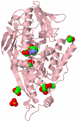 Image Biological Unit 3