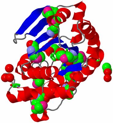 Image Asym./Biol. Unit - sites