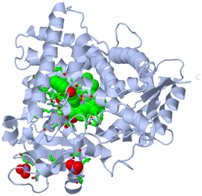 Image Biol. Unit 1 - sites