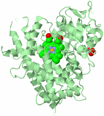 Image Biological Unit 2