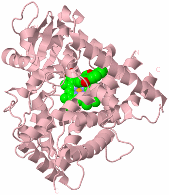 Image Biological Unit 3