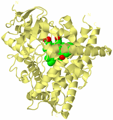 Image Biological Unit 4