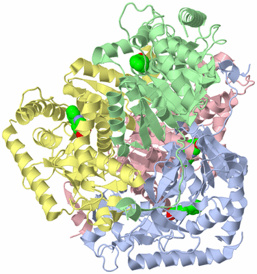 Image Biological Unit 1