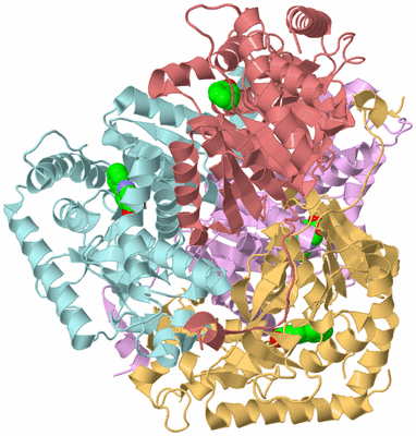 Image Biological Unit 2