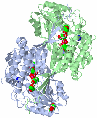 Image Asym./Biol. Unit