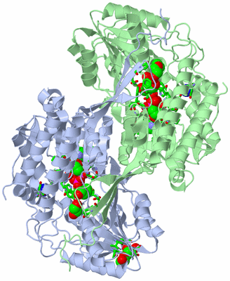 Image Asym./Biol. Unit - sites