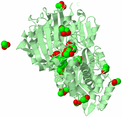 Image Biological Unit 2