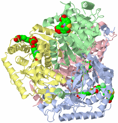 Image Biological Unit 1