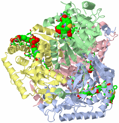 Image Biol. Unit 1 - sites