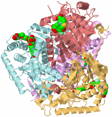 Image Biological Unit 2