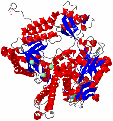 Image Asym./Biol. Unit