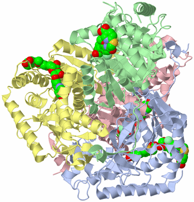 Image Biological Unit 1