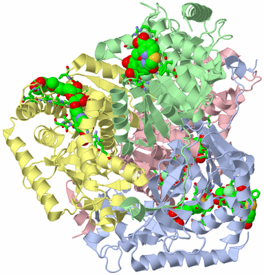 Image Biol. Unit 1 - sites