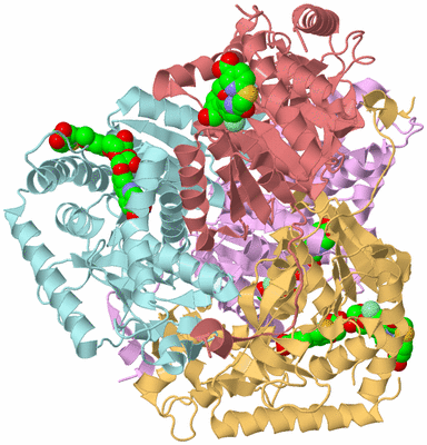 Image Biological Unit 2